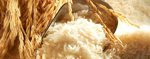 Rice & Pasta Varieties