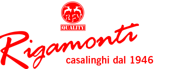 copy-Logo-Rigamonti-ita